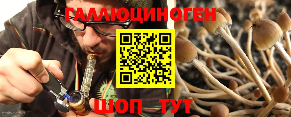 Галлюциногенные грибы мицелий  Вход с VPN  Пыть-Ях  цена наркотик  Псилоцибиновые грибы мухоморы 